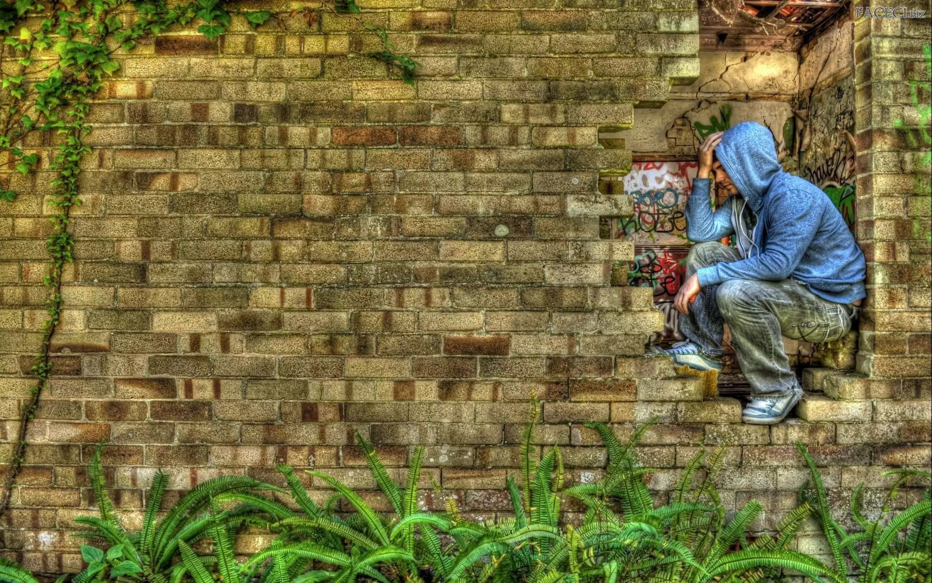 Chłopak, Ceglana, Ściana