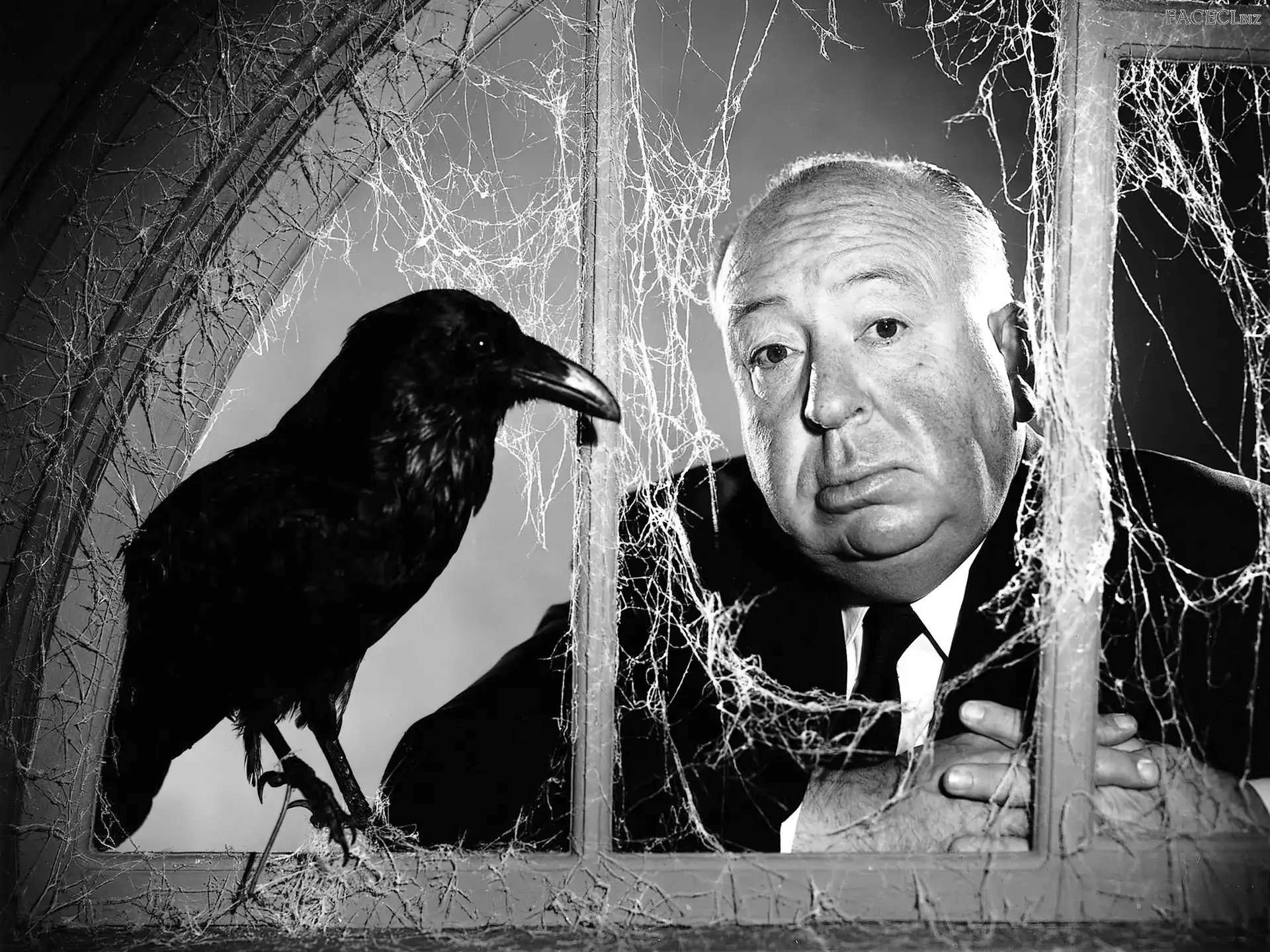 Kruk, Reżyser, Alfred Hitchcock