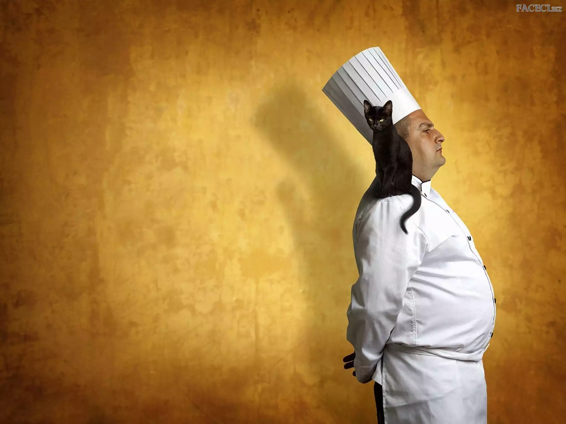 Kot, Mężczyzna, Kucharz